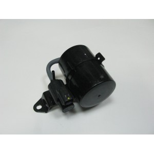 Клапан электромагнитный Авео в сборе (GM)