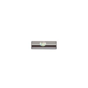 Палец поршневой Cэнс 1,3 (TW)