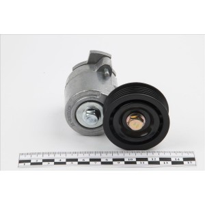 Натяжитель ремня генератора Форза (OE)