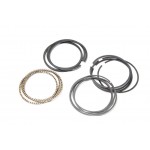 Кольца поршневые Ланос 1,6, Лачетти, Нубира "79,0мм+0,25" (AZTEC)