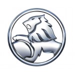 Колпак колеса Авео на литой диск эмблема ЛЕВ (GM) Колпак колеса Авео на литой диск эмблема ЛЕВ (GM)