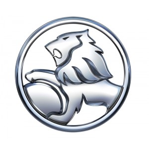 Колпак колеса Авео на литой диск эмблема ЛЕВ (GM) Колпак колеса Авео на литой диск эмблема ЛЕВ (GM)