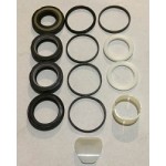 Рем комплект рулевой рейки Форза (TW)