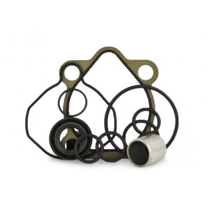 Рем комплект насоса ГУРа Авео, Лачетти, Нубира (MS-Group)