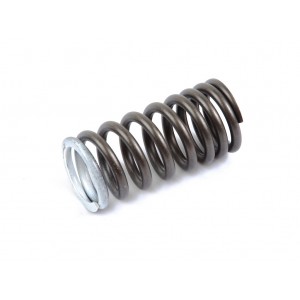 Пружина клапанов Матиз (GM) Пружина клапанов Матиз (GM)