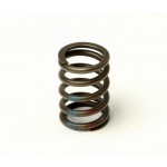 Пружина клапанов Ланос, Авео, Нексия 1.5 SOHC (GM) Пружина клапанов Ланос, Авео, Нексия 1.5 SOHC (GM)