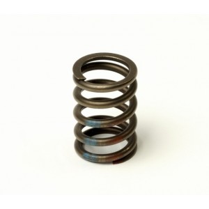 Пружина клапанов Ланос, Авео, Нексия 1.5 SOHC (OE) Пружина клапанов Ланос, Авео, Нексия 1.5 SOHC (OE)