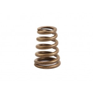 Пружина болта катализатора Нексия (GM) Пружина болта катализатора Нексия (GM)