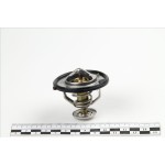 Термостат Форза, Вида, Амулет 11- (TW) Термостат Форза, Вида, Амулет 11- (TW)