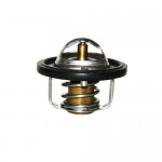 Термостат Матиз (DM) Термостат Матиз (DM)